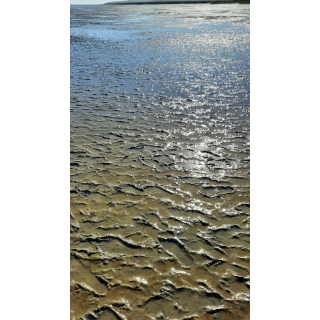 Vereinsfahrt 2023 Insel Borkum