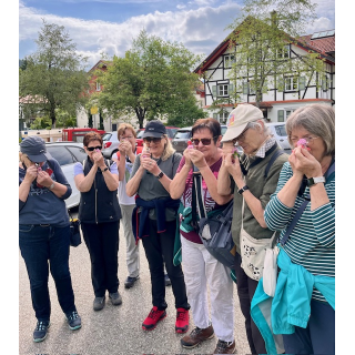 Fasten&Wandern im Allgz