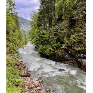 Fasten&Wandern im Allgz