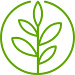 Pflanzenheilkunde / Hom&ouml;opathie